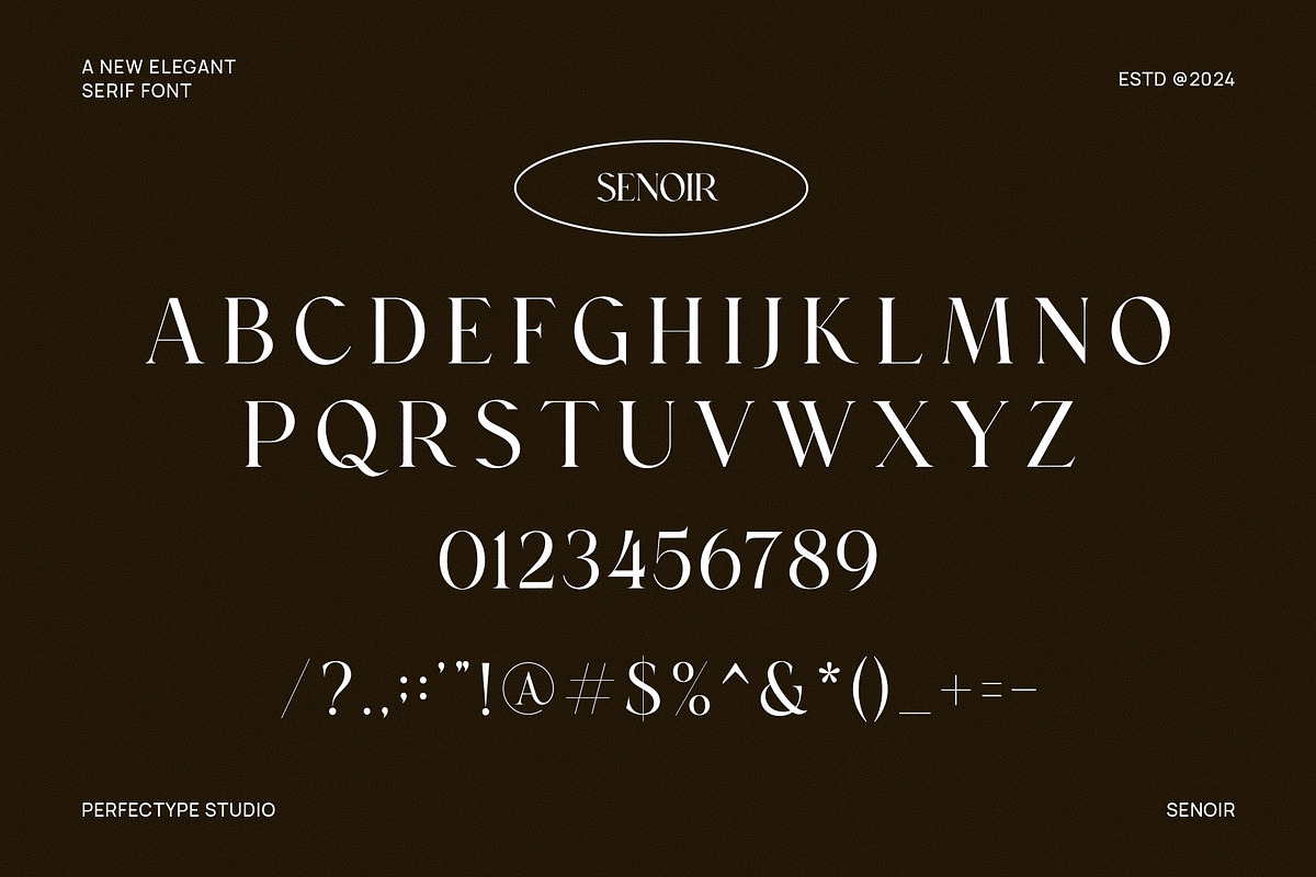 Senoir Elegant Serif Font Typeface, a Serif Font by Perfectype (Photo 6 of 6)