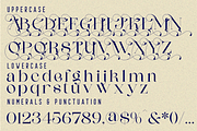 Connect Markets - Modern Serif Font, a Serif Font by 177Studio (Thumbnail 7 of 8)