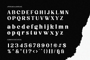 Calibria – Bold & Elegant Serif, a Serif Font by Almeera Std (Thumbnail 3 of 10)
