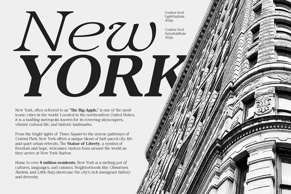 Confirm Serif (42 fonts), a Font by Dora Typefoundry (Photo 4 of 12)