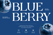 Bonrage Modern Elegant Serif Font, a Serif Font by Vadovastd (Thumbnail 4 of 9)