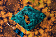 Galaxy Tie Dye Stamp Brushes, a Brush Add-On by OlgaRom (Thumbnail 11 of 13)
