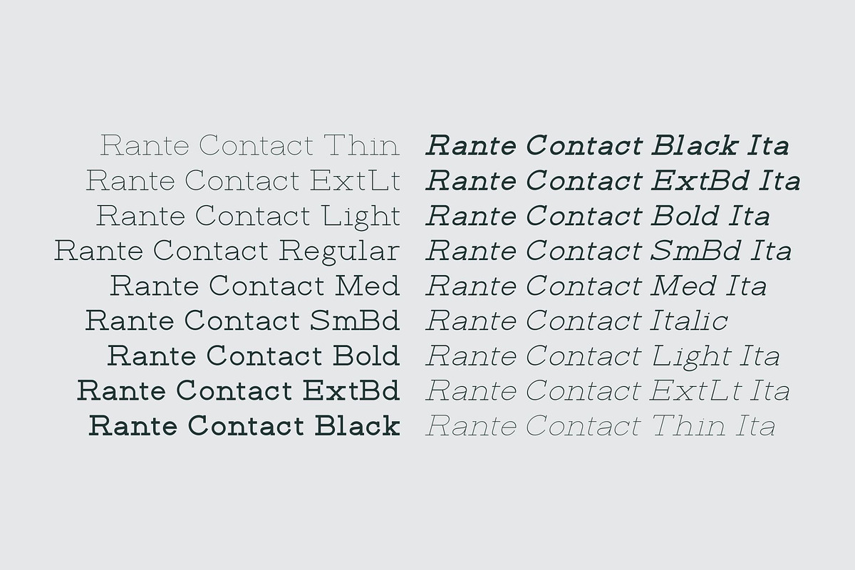 Rante Contact, a Slab Serif Font by takoliko (Photo 9 of 12)
