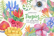 Watercolor Tropical Clipart, a Food Illustration by OllyKo Art (Thumbnail 1 of 8)