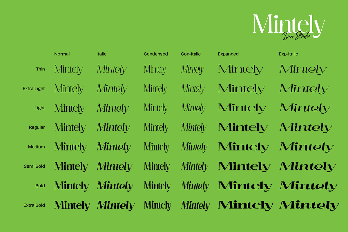 Mintely, a Serif Font by din-studio.com (Photo 8 of 12)