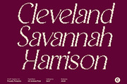 CS Anthea Pixel, a Serif Font by Craft Supply Co. (Thumbnail 5 of 8)