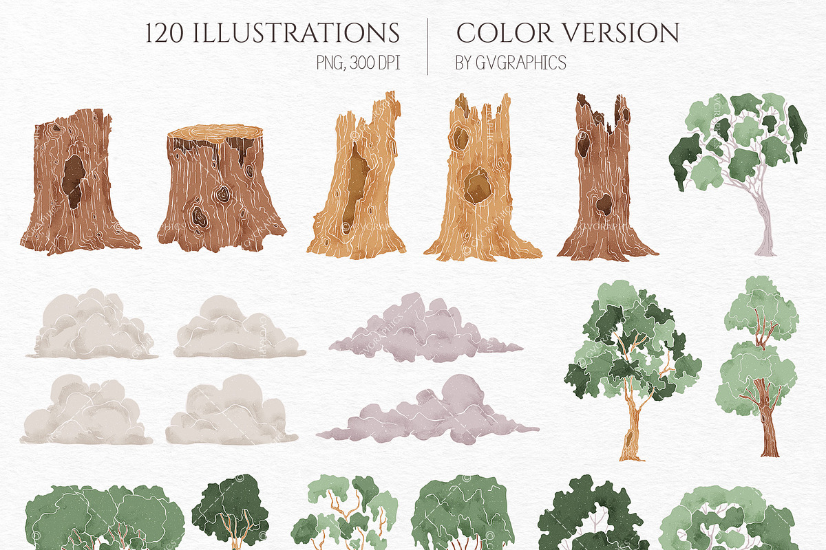 Into the Wild Collection, an Animal Illustration by GVGraphics (Photo 3 of 24)