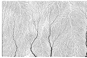 Growth - 50 Backgrounds, a Texture Graphic by GarryKillian (Thumbnail 31 of 51)