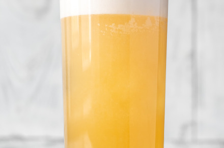 Grapefruit Whisky Fizz Cocktail, a Food & Drink Photo by Alexander Prokopenko