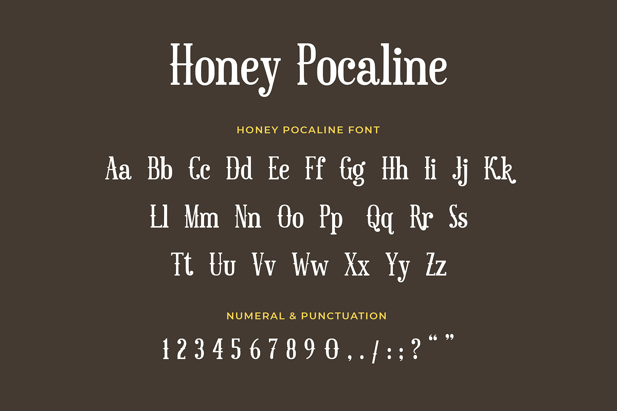 Honey Pocaline Serif Font preview 5