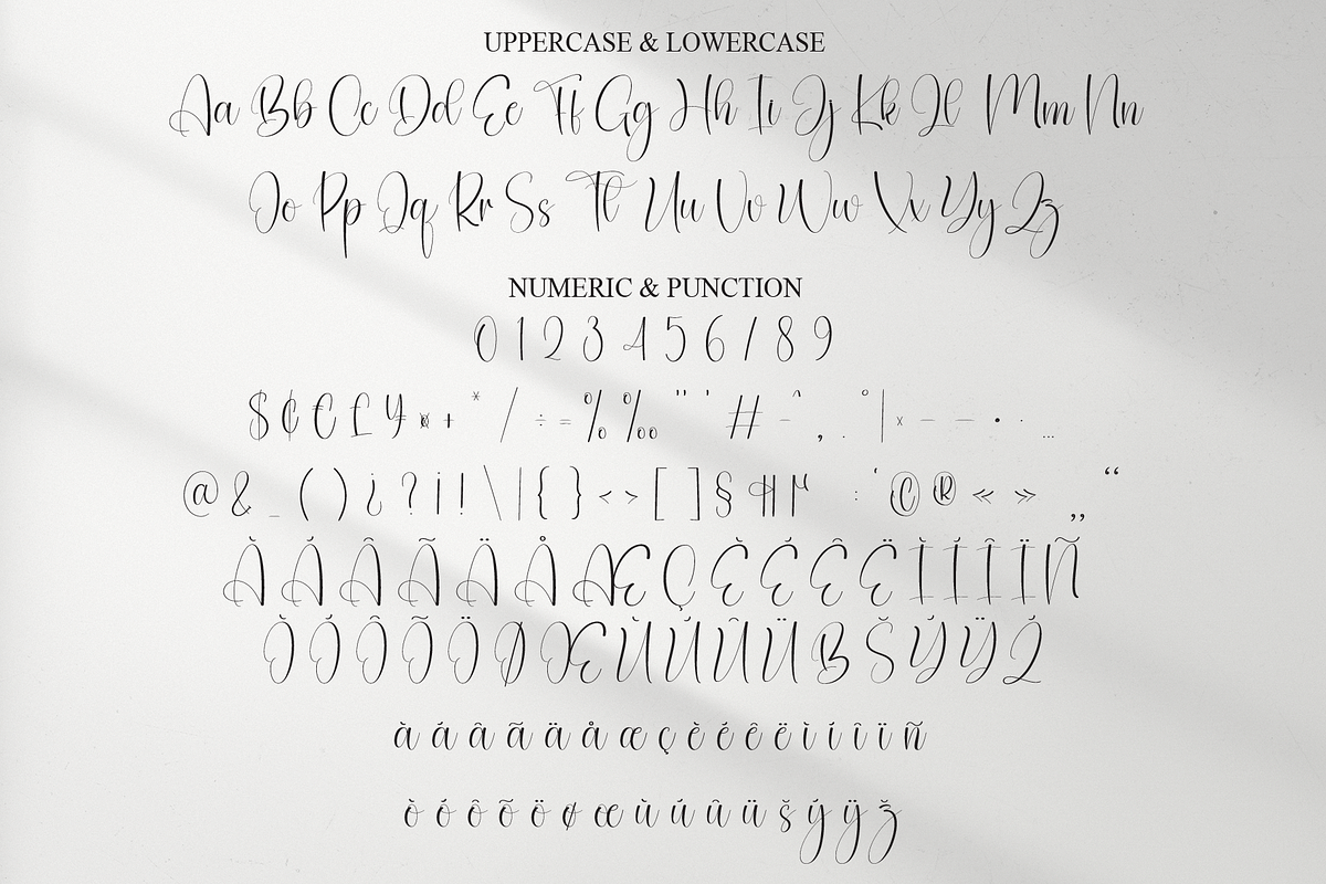 Bodycount | Script Font, a Handwritten Font by Scratchones (Photo 7 of 9)