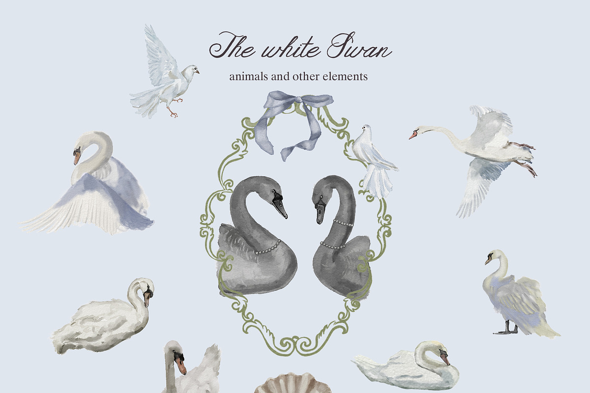 The White Swan Ballet vintage set, a Decorative Illustration by Amely.Art (Photo 3 of 14)