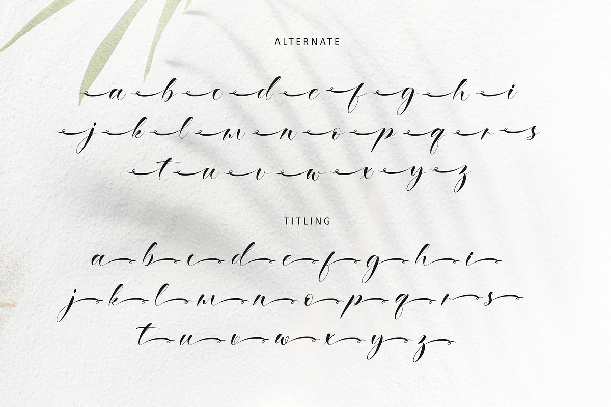 Ethereal Handwritten, a Script Font by Letterara (Photo 12 of 13)