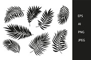 Palm leaves vector set, a Decorative Illustration by MalinaShop (Thumbnail 1 of 3)