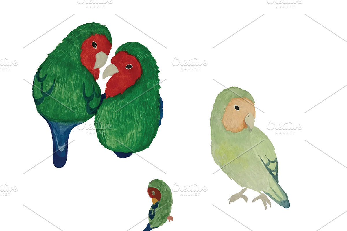 Watercolor Birds, a Pattern Graphic by Valeri Nick (Photo 6 of 6)