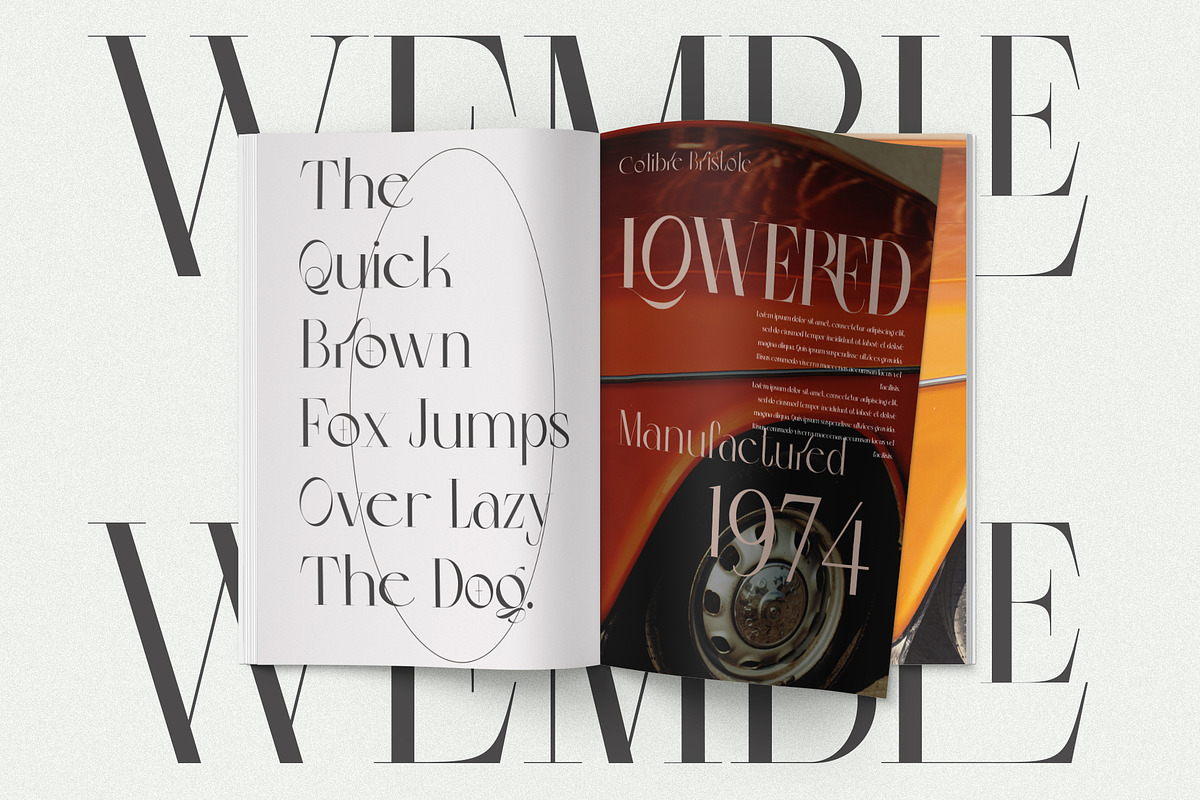 Colibre Bristole Pro, a Serif Font by Jolicia Type (Photo 12 of 13)