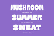 50% Gulfs Display, a Font by Sundance Tipografia (Thumbnail 7 of 11)