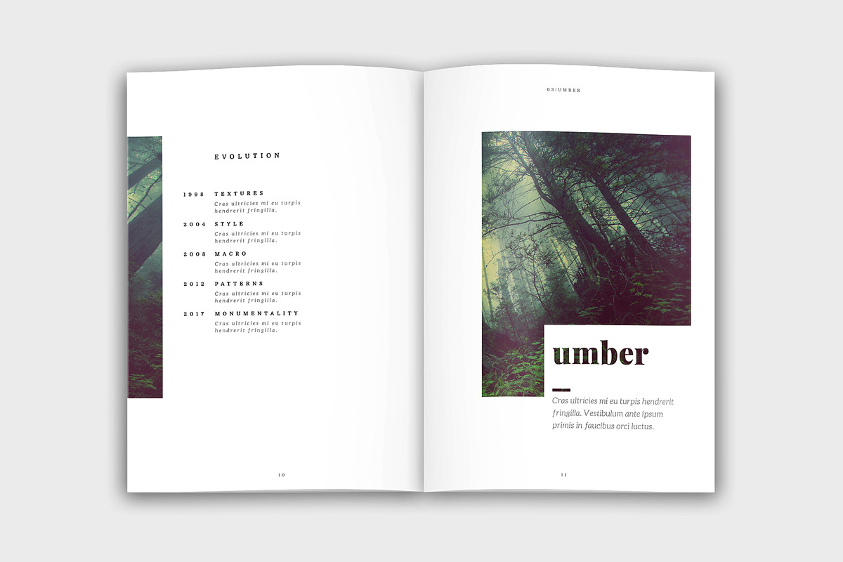 Colora - Bold, Clean Portfolio, a Brochure Template by velvetmade.designs (Photo 6 of 17)