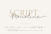 Clandia Monoline Script & Ornaments, a Script Font by Typebae (Thumbnail 2 of 12)