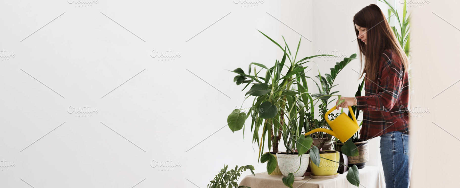 Gardening houseplants at home, a Person Photo by KucherPhoto