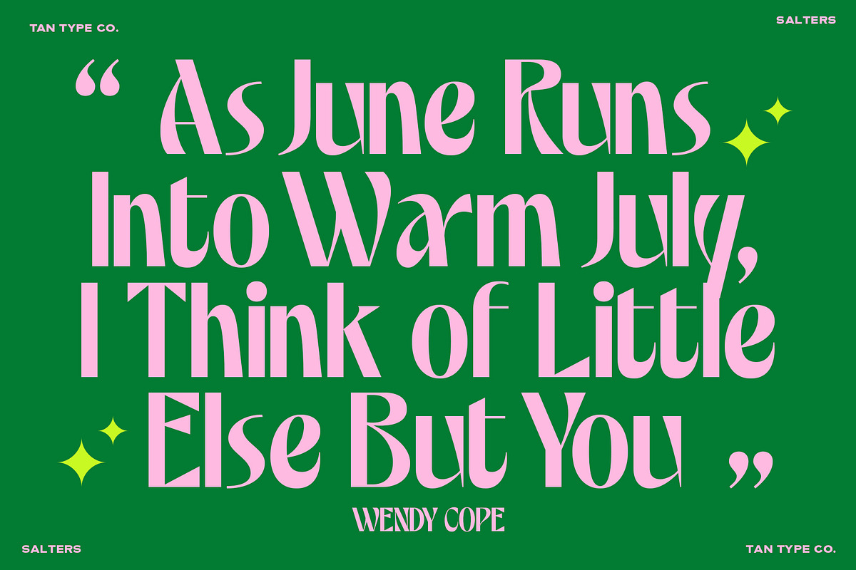 TAN - SALTERS, a Font by TanType (Photo 2 of 14)