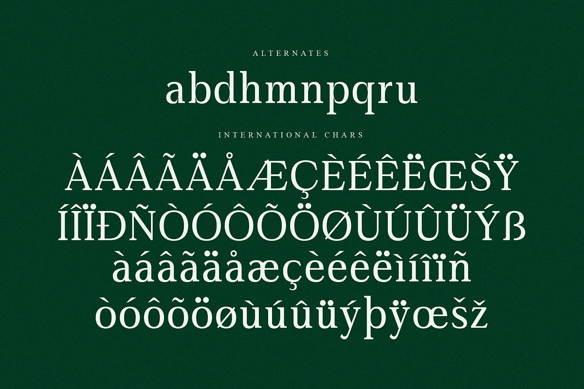 Gardmun Kinsley Modern Serif Font, a Serif Font by Letterena Studios (Photo 14 of 15)