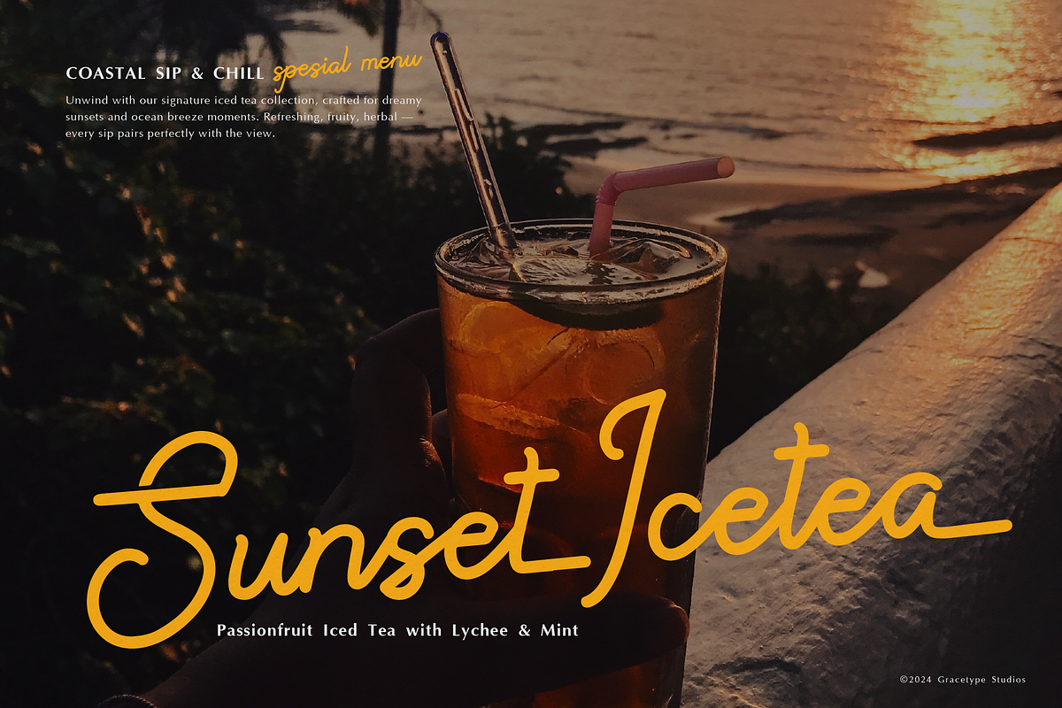 Paradise Gallaiso | Monoline Script, a Script Font by gracetype_studio (Photo 3 of 12)