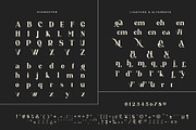 Hevin Ligature Serif Typeface, a Serif Font by yaqublekker (Thumbnail 9 of 10)