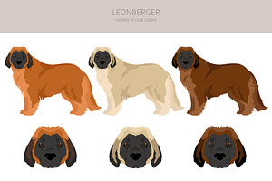 Leonberger Clipart