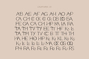 Modern ligature-rich font, a Serif Font by elvinova (Thumbnail 16 of 18)