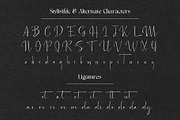 The Executive Casual, a Serif Font by Fontsgood (Thumbnail 10 of 13)
