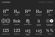 TT Regins, a Serif Font by TypeType (Thumbnail 12 of 15)