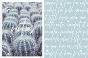 4 fonts for 14$ - Black Friday - 50%, a Script Font by SophieSaxo (Thumbnail 9 of 9)