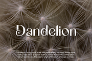 Bugaeil - A Elegant Typeface, a Sans Serif Font by Vroz Studio (Thumbnail 8 of 8)