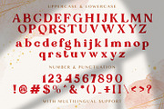 Rose Quay - Elegant Serif Font, a Serif Font by StringLabs (Thumbnail 10 of 11)