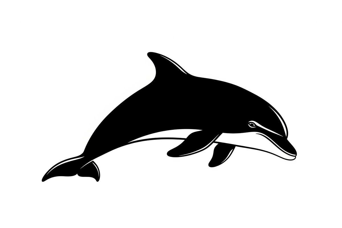 Dolphin Jumping Silhouette Vector, an Illustration by Designs_River (Photo 35 of 51)
