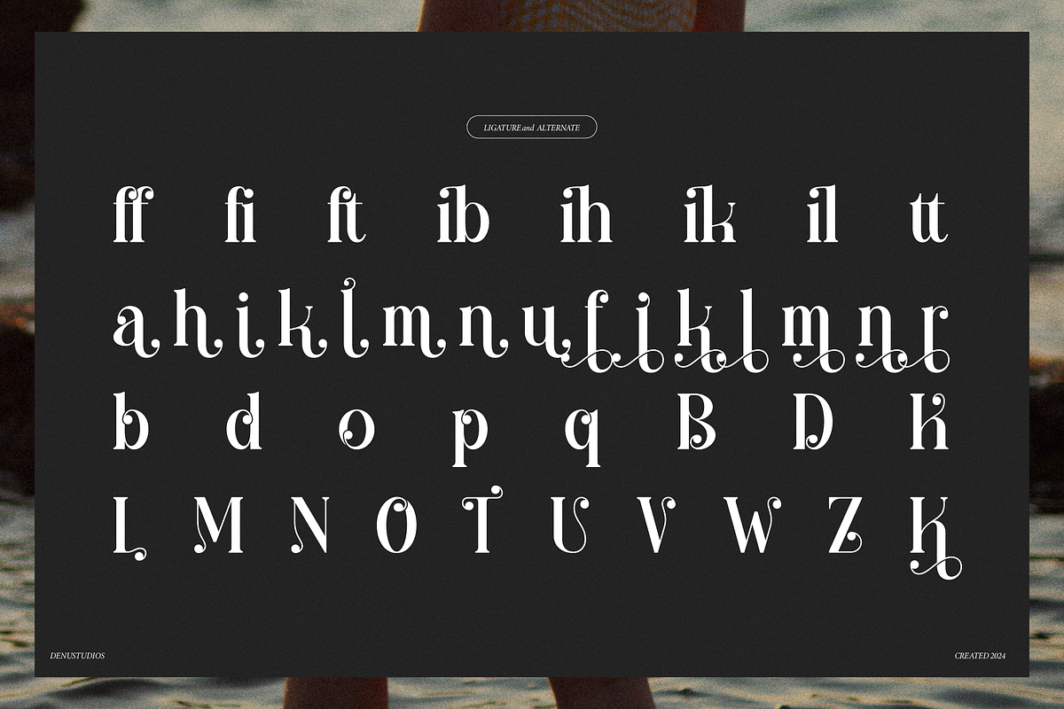 Miofarin | Display Modern Serif, a Serif Font by Denustudios (Photo 15 of 15)