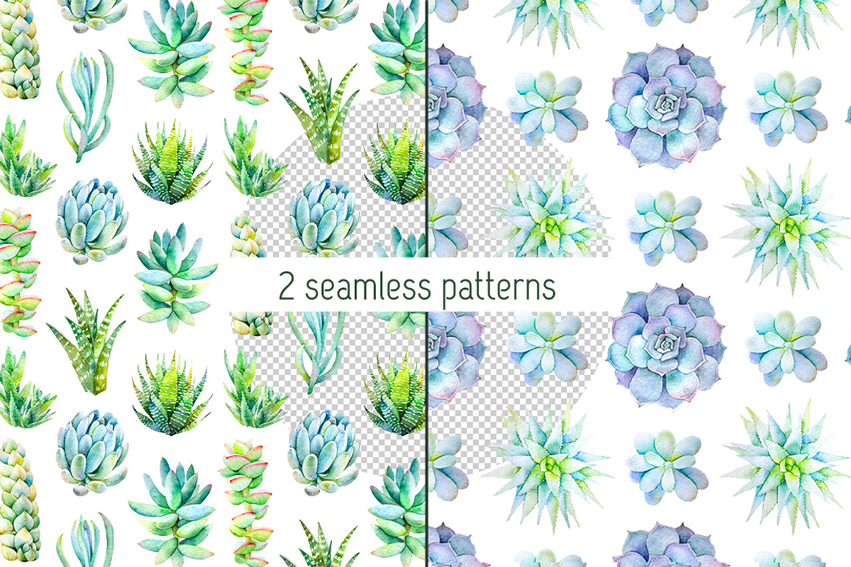 Succulents watercolor set, an Illustration by Green_leaf_17 (Photo 3 of 4)