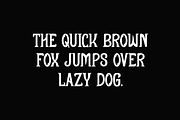 Youngdo - Display Font, a Serif Font by Iqsiart Studio (Thumbnail 5 of 6)