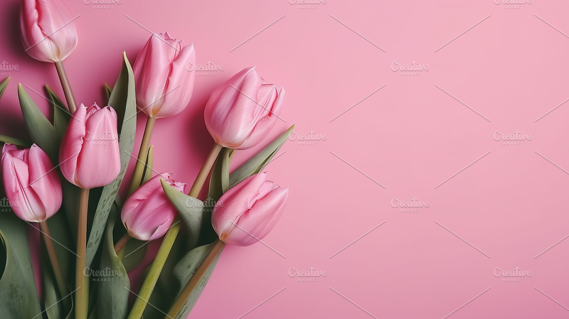 colorful tulip background, a Nature Photo by Virgo Studio