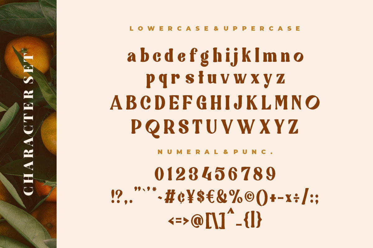 Quickly Sustain Modern Serif, a Serif Font by Creatype Studio (Photo 8 of 9)