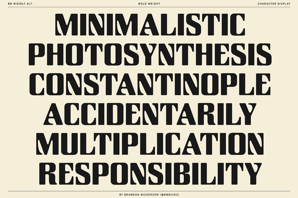 Rigidly - Thoughtfully Geometric, a Sans Serif Font by Bnick (Photo 7 of 13)