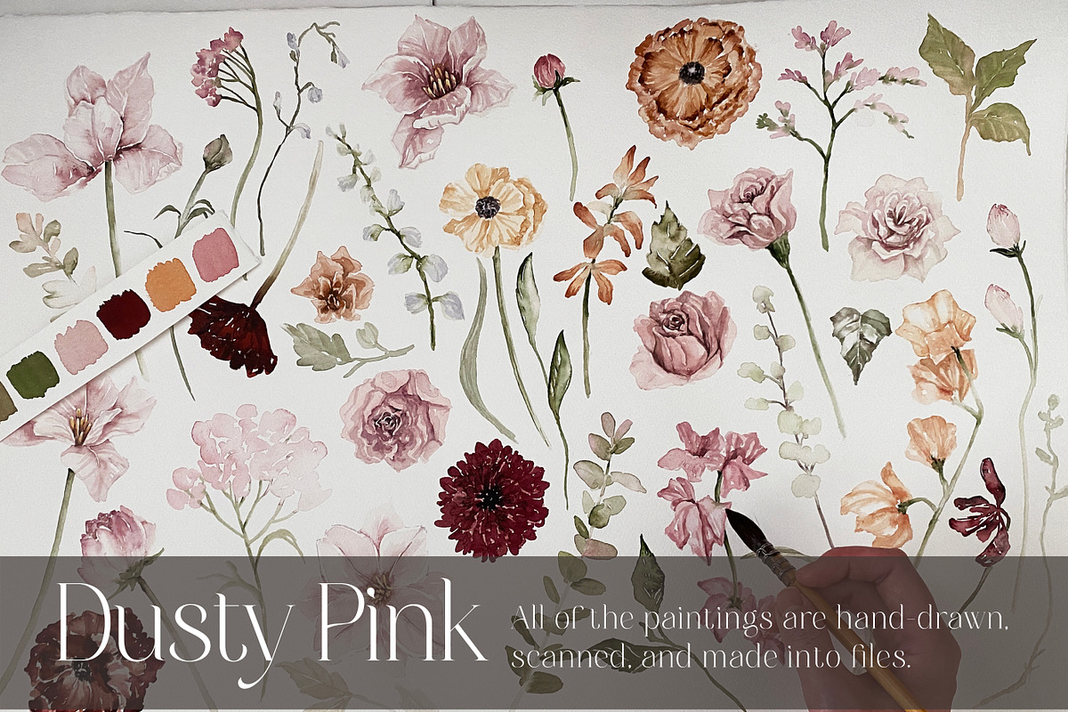 Watercolor Flowers - Dusty PINK, a Decorative Illustration by Beigetime (Photo 10 of 10)