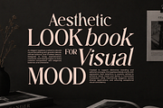 Beauty Luxury Serif Font - Anolera, a Serif Font by Font Liner (Thumbnail 5 of 10)
