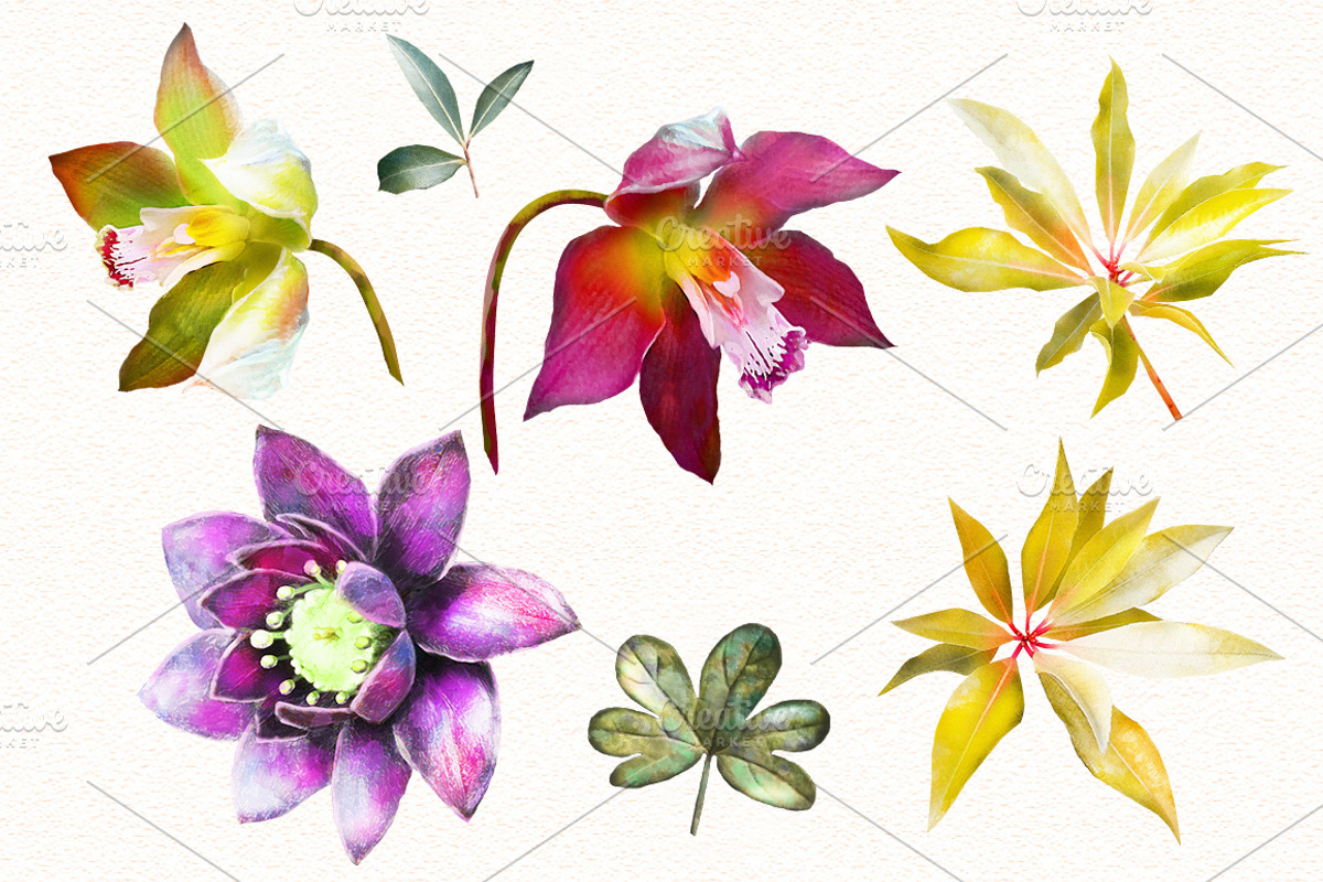 Tropical collection. Summer design., a Decorative Illustration by Lisima (Photo 2 of 19)