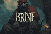 Brine Typeface, a Serif Font by Tugcu Design Co. (Thumbnail 1 of 3)