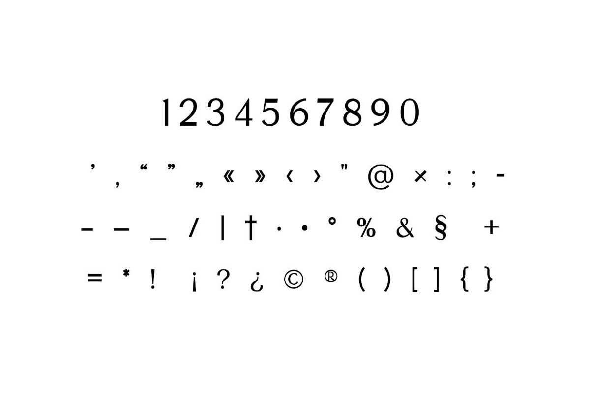 Delphine Modern Ligatures Font, a Serif Font by UICreative (Photo 3 of 13)