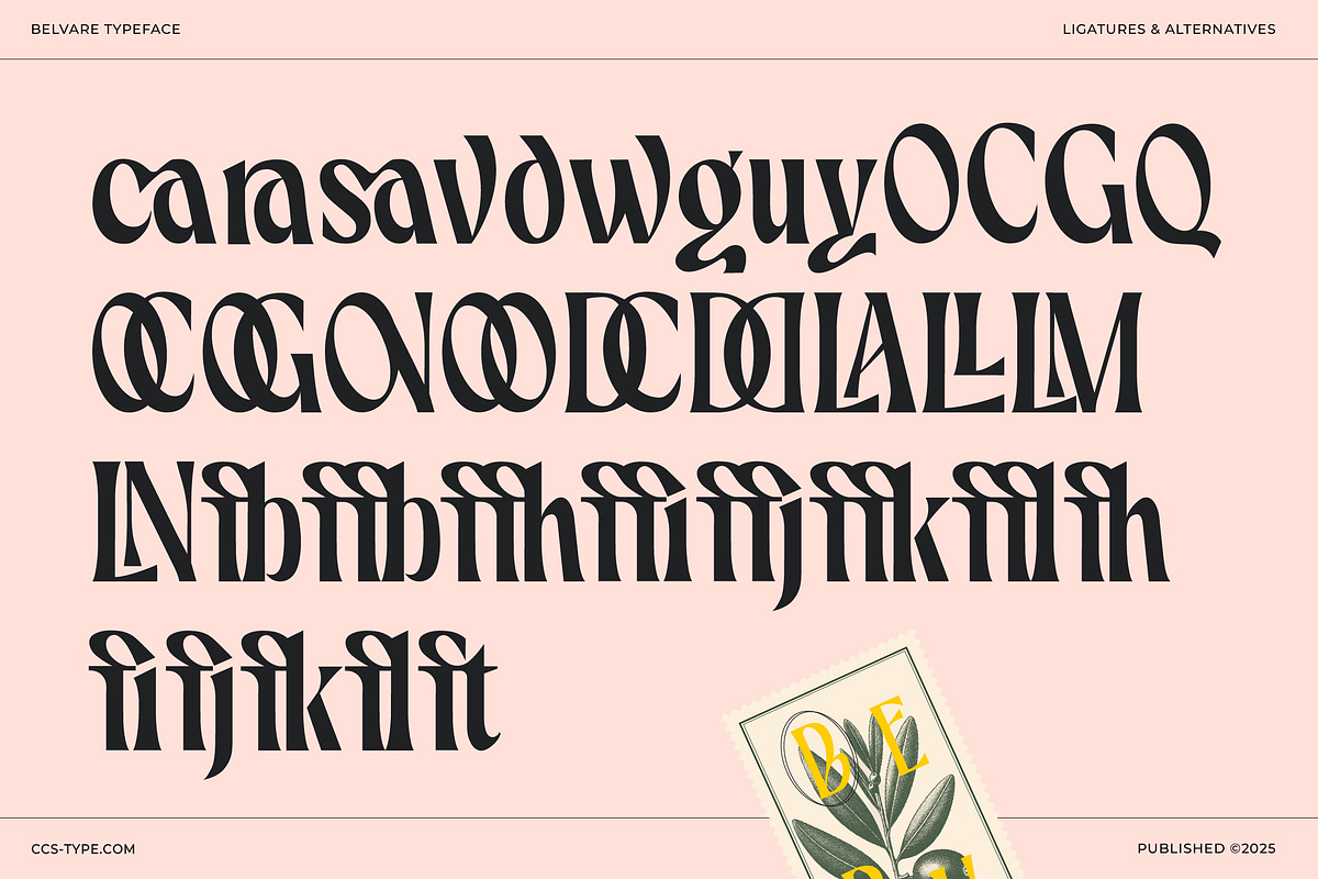 Belvare - Retro Aesthetic Serif, a Serif Font by CCS Type (Photo 22 of 22)