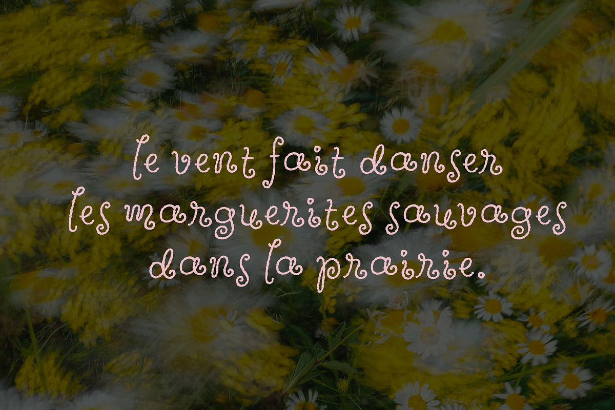Wildflower Garden | Whimsical Font, a Handwritten Font by type peace (Photo 7 of 14)