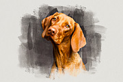 Soft Brush Painting Effect Photoshop, an Action Add-On by liptouse (Thumbnail 4 of 9)